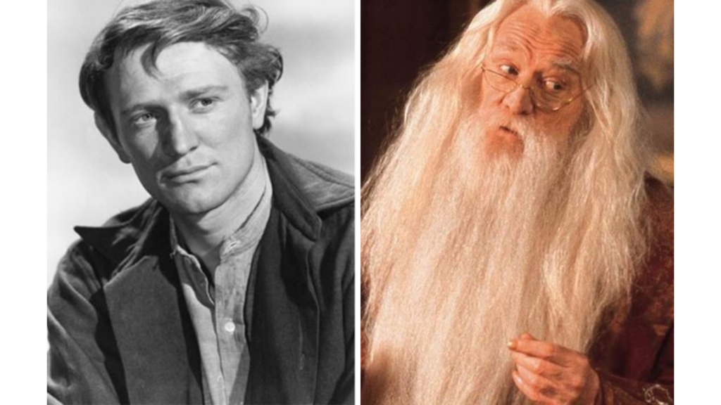 Richard Harris – Albus Dumbledore