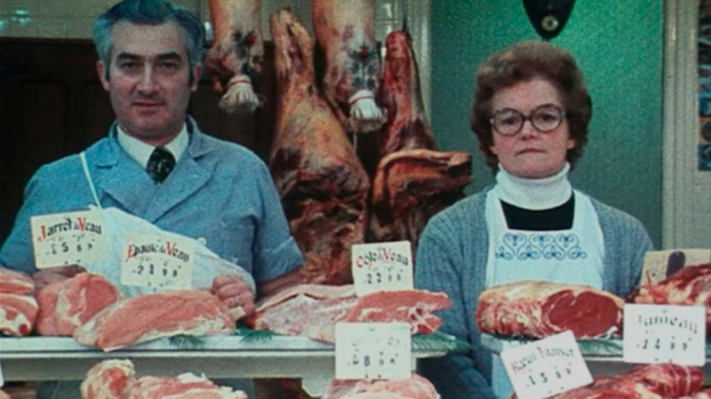 reseña sin spoilers de daguerrotipos por agnès varda