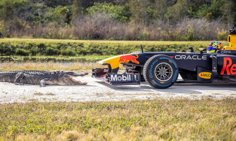 Checo Perez en Red Bull, un viaje por Miami
