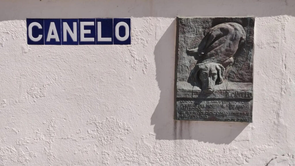 cortometraje mexicano canelo, el hachiko español